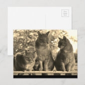 Postale Carte postale: Bateaux de ferme (Devant / Derrière)