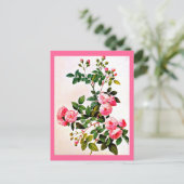 Postale Carte postale-Botaniques-Pierre Joseph Redoute 14 (Debout devant)