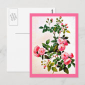 Postale Carte postale-Botaniques-Pierre Joseph Redoute 14 (Devant / Derrière)