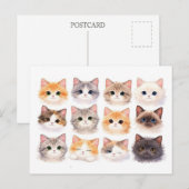 Postale Carte postale. Chatons drôles (Devant / Derrière)