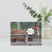 Postale Carte postale/Cheval (Debout devant)