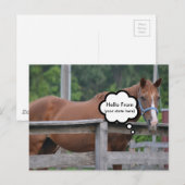 Postale Carte postale/Cheval (Devant / Derrière)