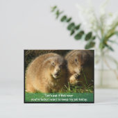 Postale Carte postale: Chiens des Prairies (Debout devant)