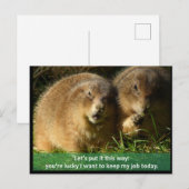 Postale Carte postale: Chiens des Prairies (Devant / Derrière)