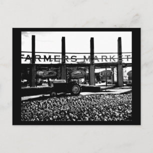 Postale Carte postale-Dallas Photographie-12