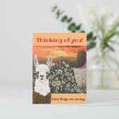 Postale Carte postale. De bonnes choses arrivent Mama Llam (Debout devant)