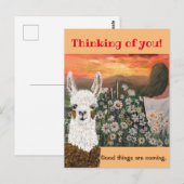 Postale Carte postale. De bonnes choses arrivent Mama Llam (Devant / Derrière)