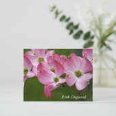 Postale Carte postale:  Dogwood horizontal (Debout devant)