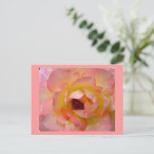 Postale Carte postale-Fleurs-10 (Debout devant)
