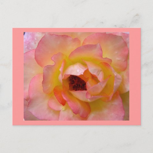 Postale Carte postale-Fleurs-10 (Devant)