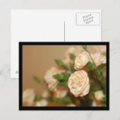 Postale Carte postale-Fleurs-21 (Devant / Derrière)