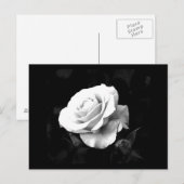 Postale Carte postale-Fleurs-41 (Devant / Derrière)