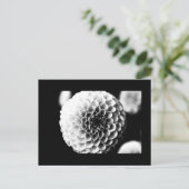 Postale Carte postale-Fleurs-51 (Debout devant)