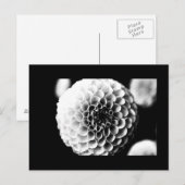Postale Carte postale-Fleurs-51 (Devant / Derrière)