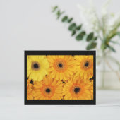 Postale Carte postale-Fleurs-6 (Debout devant)