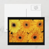 Postale Carte postale-Fleurs-6 (Devant / Derrière)