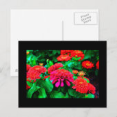 Postale Carte postale-Fleurs-61 (Devant / Derrière)