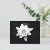 Postale Carte postale-Fleurs-63 (Debout devant)