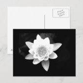 Postale Carte postale-Fleurs-63 (Devant / Derrière)