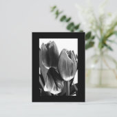 Postale Carte postale-Fleurs-64 (Debout devant)