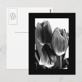 Postale Carte postale-Fleurs-64 (Devant / Derrière)