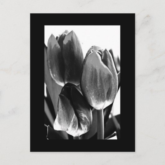 Postale Carte postale-Fleurs-64 (Devant)