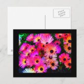 Postale Carte postale-Fleurs-68 (Devant / Derrière)