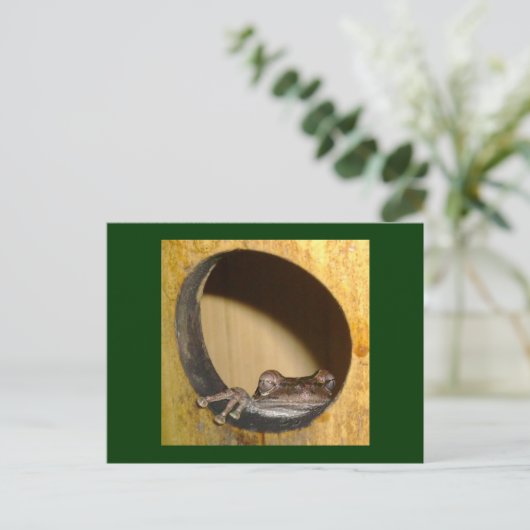 Postale Carte postale, Frog House (Debout devant)