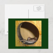 Postale Carte postale, Frog House (Devant / Derrière)