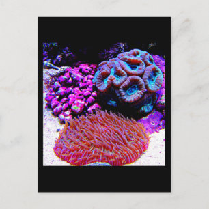 Postale Carte postale-Galerie aquatique-35
