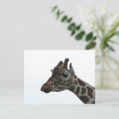 Postale Carte postale: Girafe (Debout devant)
