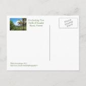 POSTALE CARTE POSTALE, HANALEI SURLOOK (SURPLOMB DU CHAMP  (Dos)