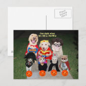 Postale Carte postale/Invitation personnalisable pour anim (Devant / Derrière)