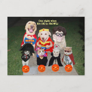 Postale Carte postale/Invitation personnalisable pour anim