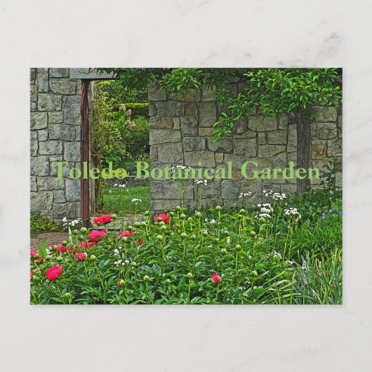 Postale carte postale, JARDIN BOTANIQUE TOLEDO (Devant)