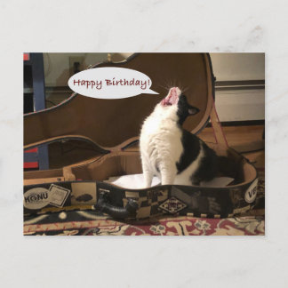 Postale Carte postale, Joyeux Anniversaire, Chant de chat 