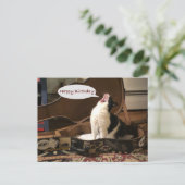 Postale Carte postale, Joyeux Anniversaire, Chant de chat  (Debout devant)