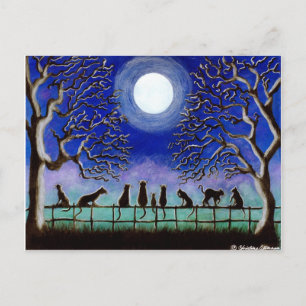 Postale Carte postale, Noir, Chats, paysage, tous les jour
