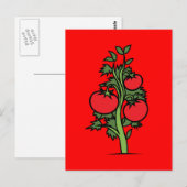 Postale Carte postale-Nourriture/Boisson-24 (Devant / Derrière)