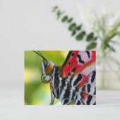 Postale Carte postale/Papillon dame peint (Debout devant)
