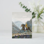 Postale Carte postale, Paso péruvien chevauché sur un sent (Debout devant)