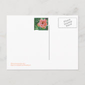 Postale carte postale, "PEACHY PINK PEONY" (Dos)