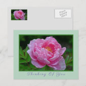 POSTALE CARTE POSTALE, "PEONK PEONKING/THINKING OF YOU" CA (Devant / Derrière)