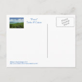 Postale carte postale, "PROVIDENCIALES/TURQUES & ÎLES CAÏC (Dos)