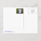 Postale carte postale, "PURPLE & WHITE IRIS AVEC TOUCHE D' (Dos)