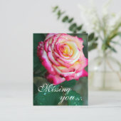Postale Carte postale/rose et rose blanche (Debout devant)