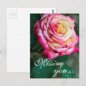 Postale Carte postale/rose et rose blanche (Devant / Derrière)