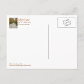 Postale Carte postale, ROUTE PLEINE DE COURBES EN "S"/DOOR (Dos)