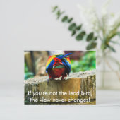 Postale Carte postale, Si vous n'êtes pas l'oiseau princip (Debout devant)