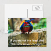 Postale Carte postale, Si vous n'êtes pas l'oiseau princip (Devant / Derrière)